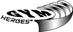 Gym Heroes 1st Edition Logo