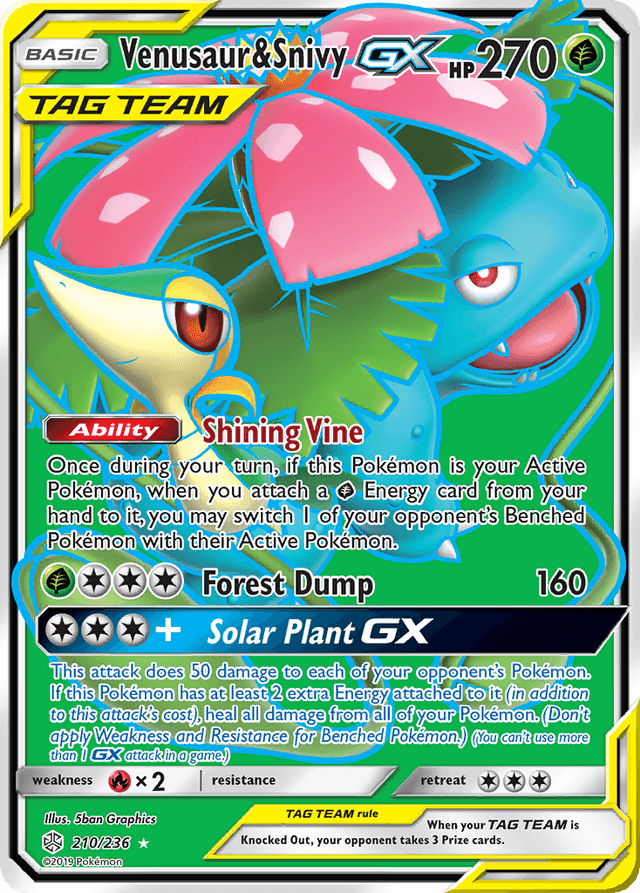 Venusaur & Snivy GX